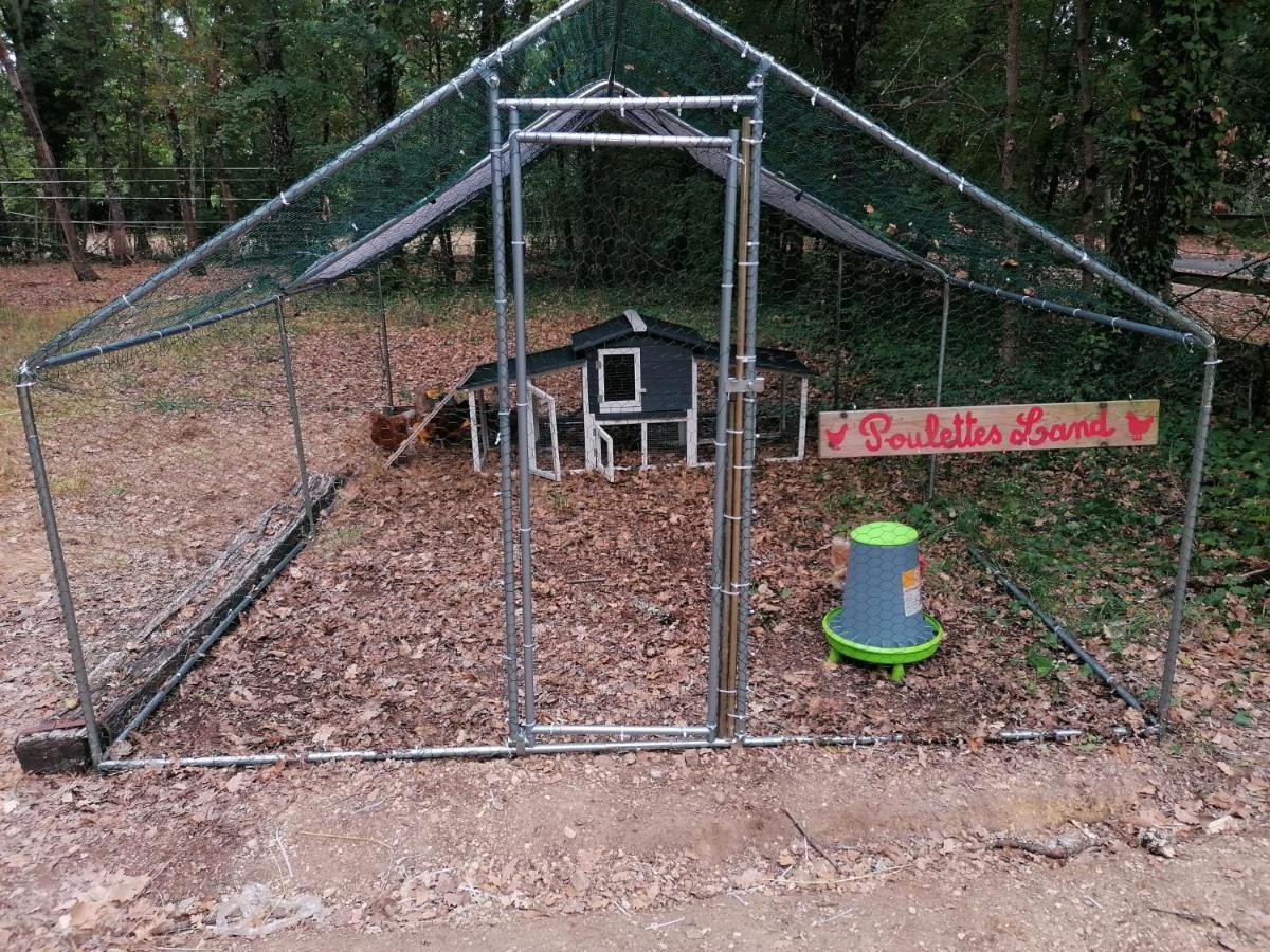 Emplacement Tente Camping Car Saint-Aubin-de-Nabirat Extérieur photo